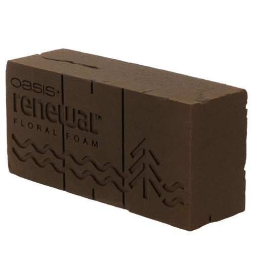 Oasis Renewal Blomsterskum 23cm 1 Brik | Floristik24.dk