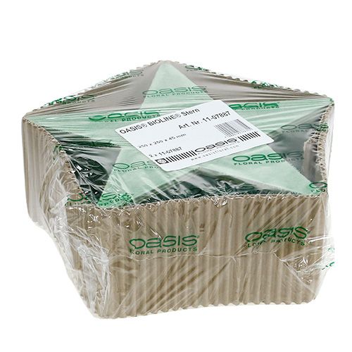 Artikel Vådblomstret skumstjerne til arrangementer 25 x 25 x 4,5 cm