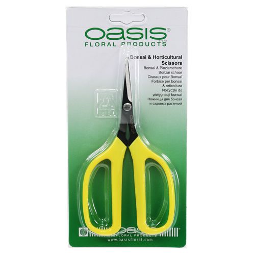 Artikel Oasis bonsai &amp; tangsaks 15,5 cm