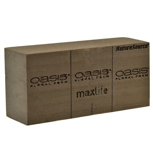 Floristik24 Oasis NatureSource Maxlife Blomsterskum Mursten Brun 23×11×7,5 cm 1 stk.