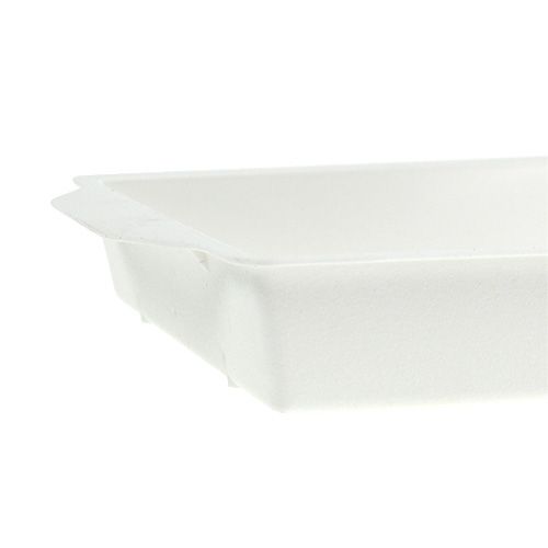 Artikel OASIS® plug-in skål hvid 23cm x 11,5cm x 2,5cm 5 stk.