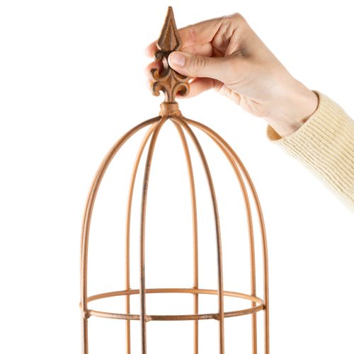 Artikel Havespalier, klatrehjælp til roser og andre klatreplanter, ideelt havedesign, 108 cm, sæt med 2.