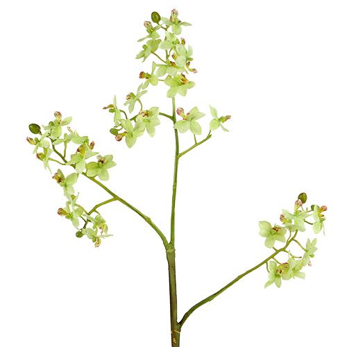Floristik24 Orchid 97cm lysegrøn