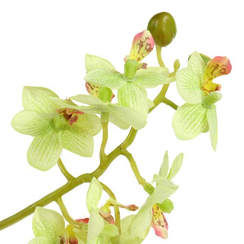 Artikel Orchid 97cm lysegrøn