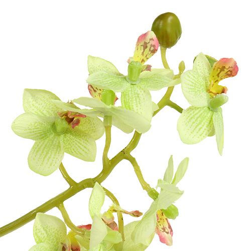Floristik24 Orchid 97cm lysegrøn