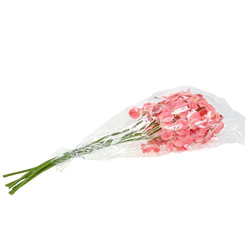 Artikel Orkidé Mokara Laks 50cm 6 stk