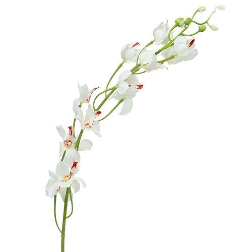 Orchid Mokara Hvid 92cm 3stk