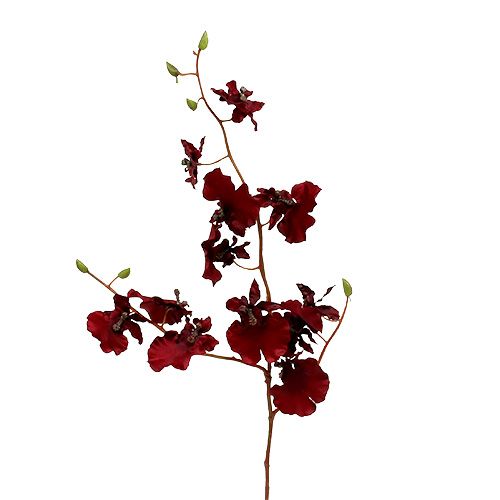 Floristik24 Orchid Oncidium 70cm mørkerød 3stk