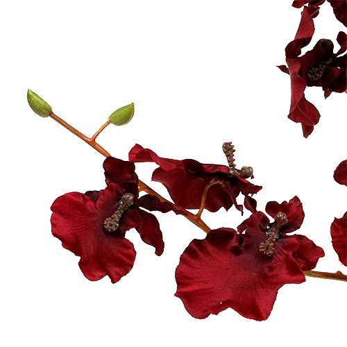 Floristik24 Orchid Oncidium 70cm mørkerød 3stk