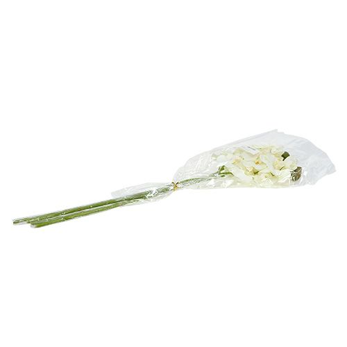 Floristik24 Orkidé hvid kunstig L73cm 4stk