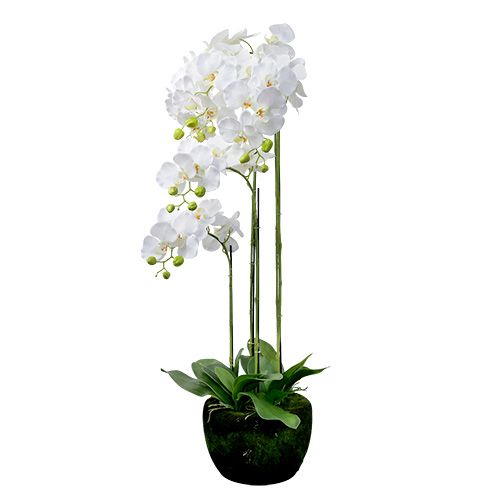 Artikel Orkidé hvid med kugle 110cm