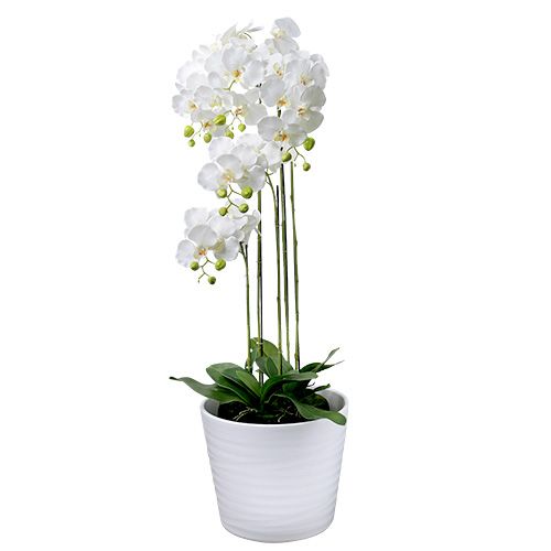 Floristik24 Orkidé hvid med kugle 110cm