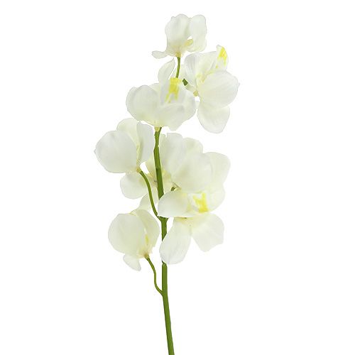Artikel Kunstig orkidécreme 50cm 6stk