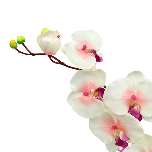 Floristik24 Orkidé med 2 grene 60 cm hvid-lyserød