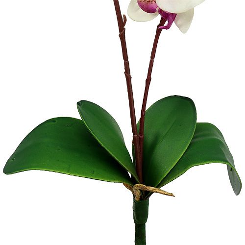 Floristik24 Orkidé med 2 grene 60 cm hvid-lyserød