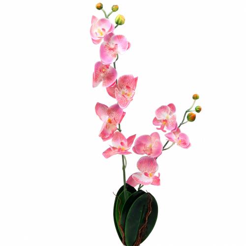 Floristik24 Orchid Phalaenopsis kunstig pink 60cm