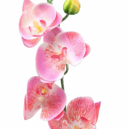 Artikel Orchid Phalaenopsis kunstig pink 60cm