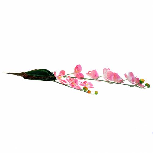 Floristik24 Orchid Phalaenopsis kunstig pink 60cm