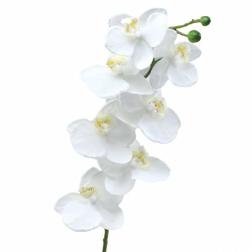 Floristik24 Kunstig orkidé kunstig blomst hvid Ø6,5-8cm 77cm