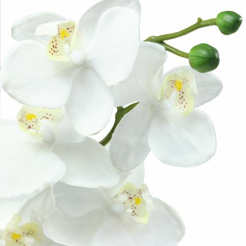 Artikel Kunstig orkidé kunstig blomst hvid Ø6,5-8cm 77cm