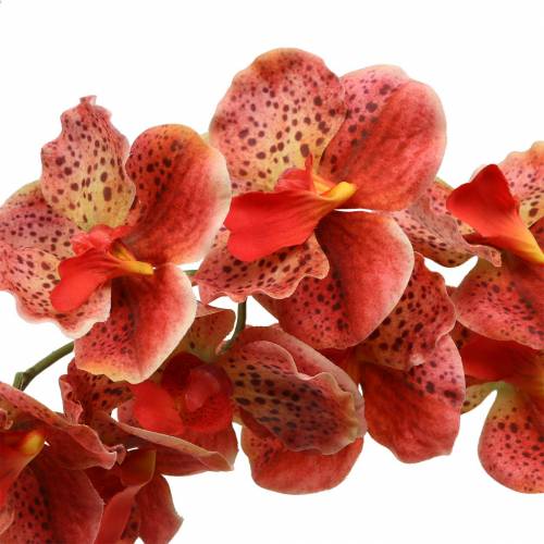 Artikel Kunstig orkidé Phaelaenopsis Rød, Orange H81cm