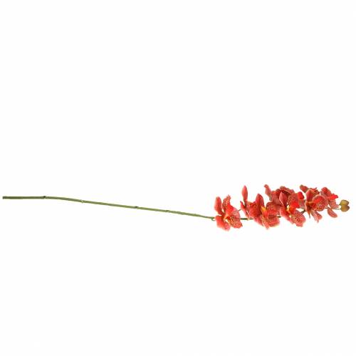Floristik24 Kunstig orkidé Phaelaenopsis Rød, Orange H81cm