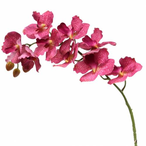 Floristik24 Kunstig orkidégren Pink H83cm