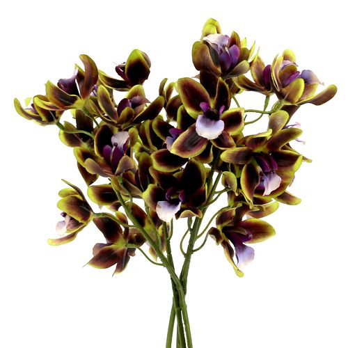 Floristik24 Orchid Cymbidium Green, Purple L38cm 4stk