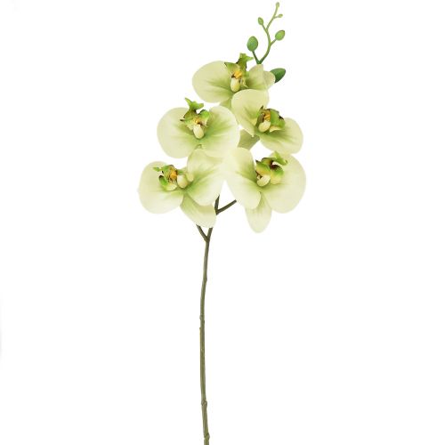 Orkidé Kunstig Gul Grøn Phalaenopsis 85cm