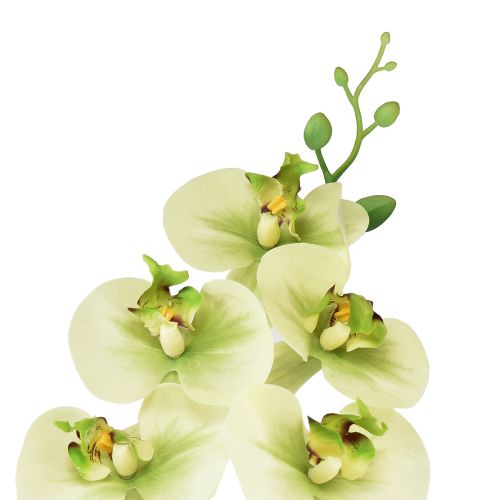 Artikel Orkidé Kunstig Gul Grøn Phalaenopsis 85cm