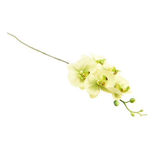 Artikel Orkidé Kunstig Gul Grøn Phalaenopsis 85cm