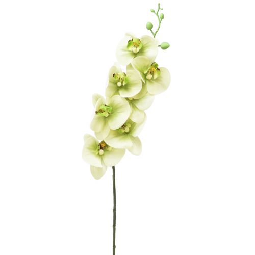 Orkidé Kunstig Gul Grøn Phalaenopsis L83cm