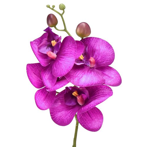 Orkidé Kunstig Phalaenopsis 4 blomster Fuchsia 72cm