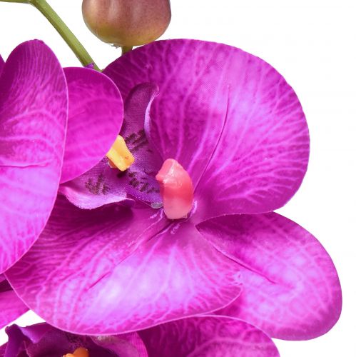 Artikel Orkidé Kunstig Phalaenopsis 4 blomster Fuchsia 72cm