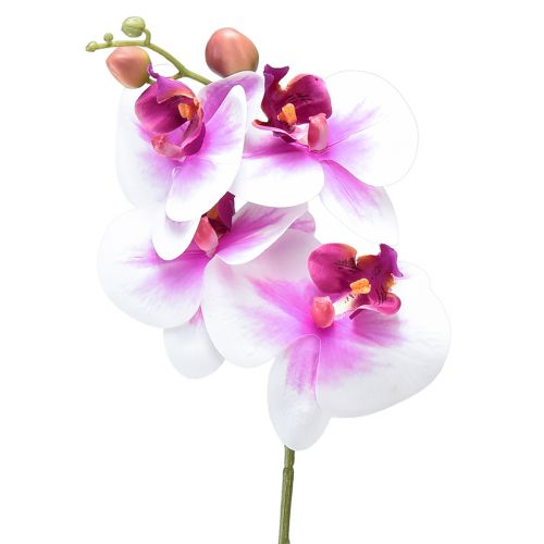 Orkidé Kunstig Phalaenopsis 4 Blomster Hvid Pink 72cm