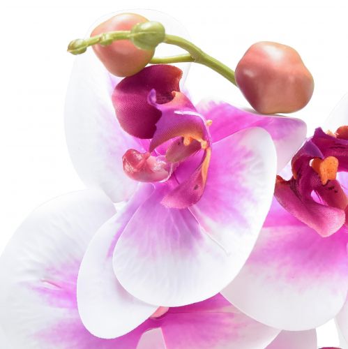 Artikel Orkidé Kunstig Phalaenopsis 4 Blomster Hvid Pink 72cm
