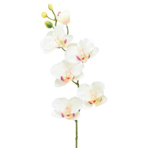 Orkidé Phalaenopsis kunstig 6 blomster creme pink 70cm