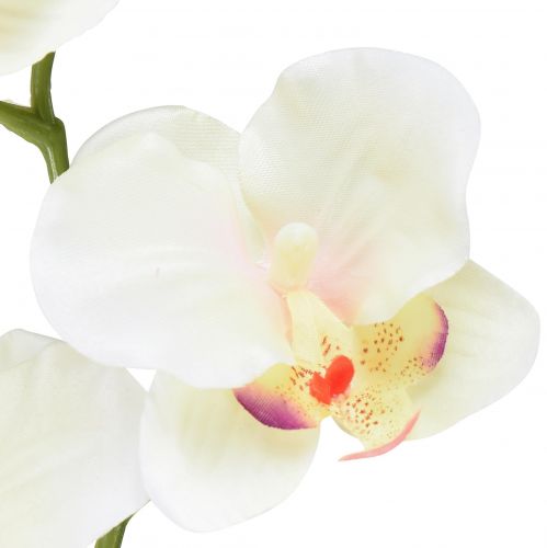 Artikel Orchid Phalaenopsis kunstig 6 blomster creme pink 70cm