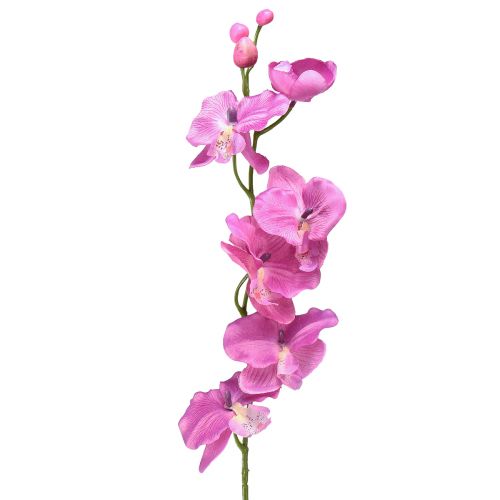 Orkidé Phalaenopsis kunstig 6 blomster lilla 70cm