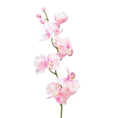 Floristik24 Orkidé Phalaenopsis kunstig 6 blomster pink 70cm