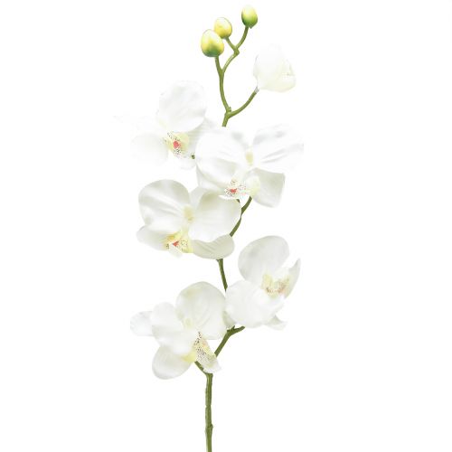 Orkidé Phalaenopsis kunstig 6 blomster hvid creme 70cm