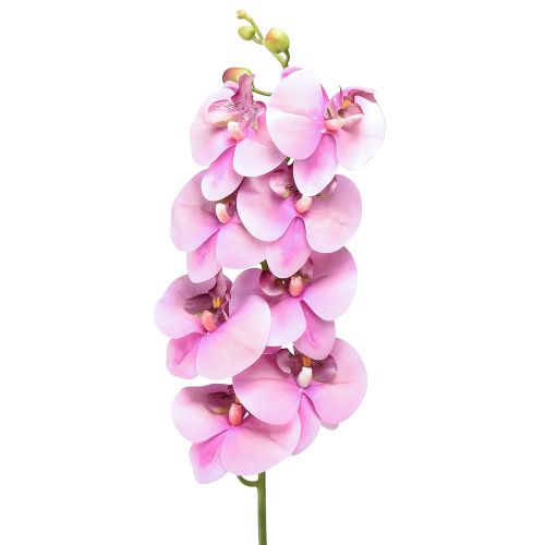 Orkidé Phalaenopsis kunstig 8 blomster pink 104cm