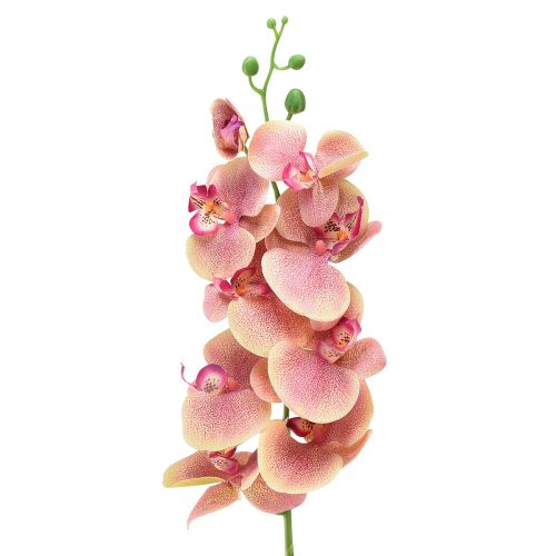Floristik24 Orkidé Phalaenopsis kunstig 9 blomster pink vanilje 96cm