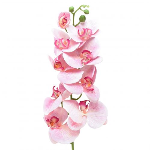 Artikel Orkidé Phalaenopsis kunstig 9 blomster pink hvid 96cm