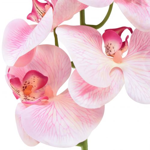 Artikel Orkidé Phalaenopsis kunstig 9 blomster pink hvid 96cm
