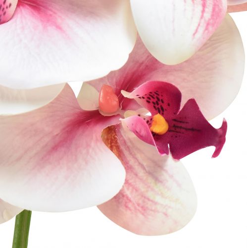 Artikel Orkidé Phalaenopsis kunstig 9 blomster hvid fuchsia 96cm