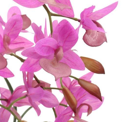 Artikel Orkidé i violet potte H55cm