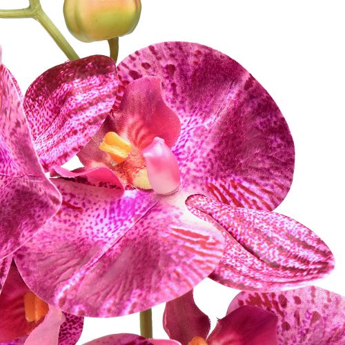Artikel Orkidé flammet kunstig Phalaenopsis lilla 72cm