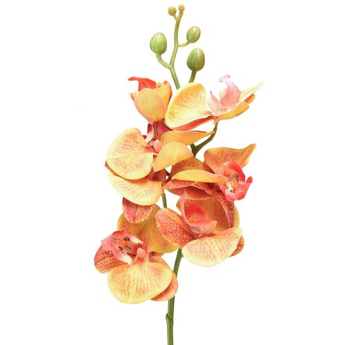 Kunstig orkidé Phalaenopsis flammet rød gul 78cm