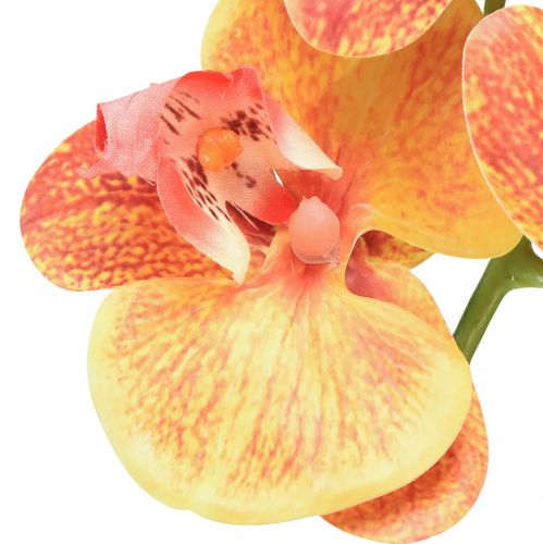 Artikel Kunstig orkidé Phalaenopsis flammet rød gul 78cm